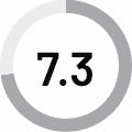 7.3 Rating